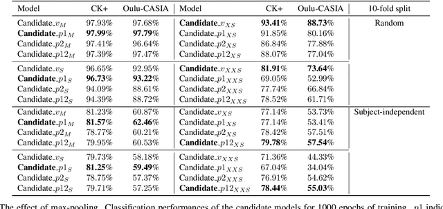 Figure 3 for MicroExpNet: An Extremely Small and Fast Model For Expression Recognition From Frontal Face Images