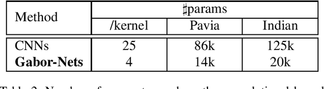 Figure 4 for Naive Gabor Networks