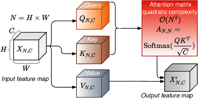 Figure 1 for Learning Patch-to-Cluster Attention in Vision Transformer