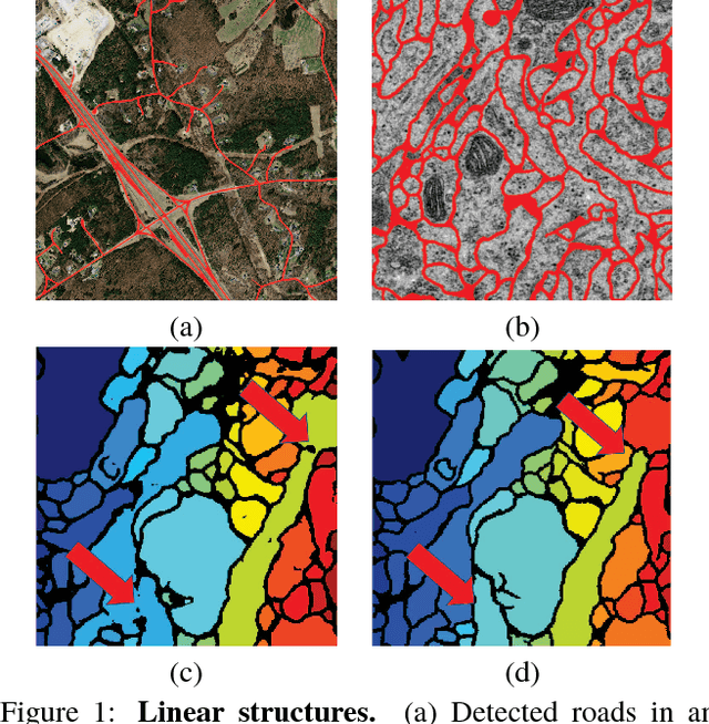 Figure 1 for Beyond the Pixel-Wise Loss for Topology-Aware Delineation