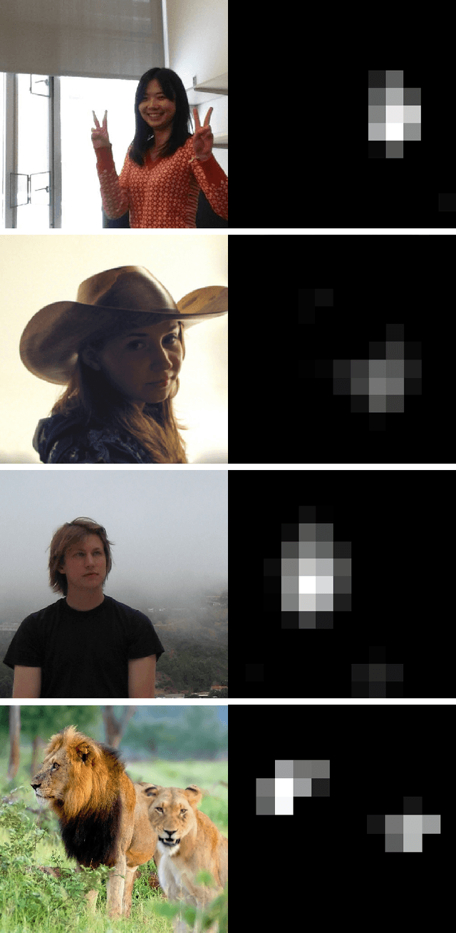 Figure 3 for Understanding Neural Networks Through Deep Visualization
