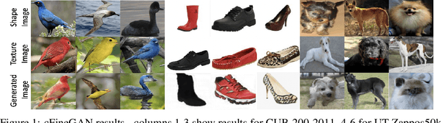 Figure 1 for cFineGAN: Unsupervised multi-conditional fine-grained image generation