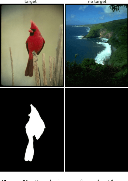 Figure 2 for Early Salient Region Selection Does Not Drive Rapid Visual Categorization