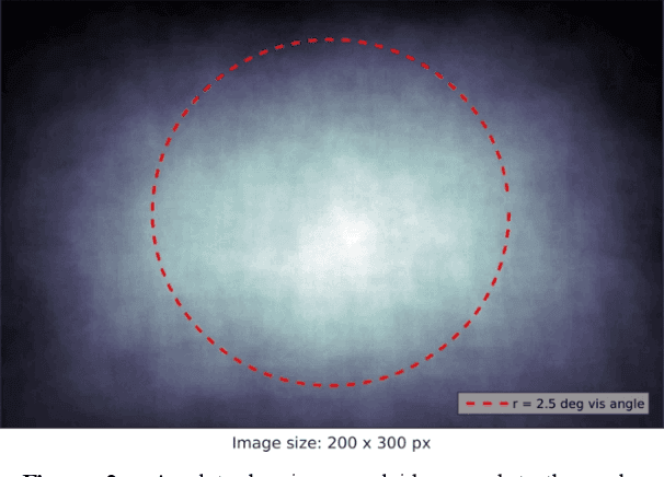 Figure 4 for Early Salient Region Selection Does Not Drive Rapid Visual Categorization