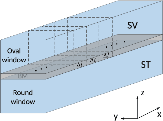 Figure 1 for Joint Spatio-Temporal Discretisation of Nonlinear Active Cochlear Models
