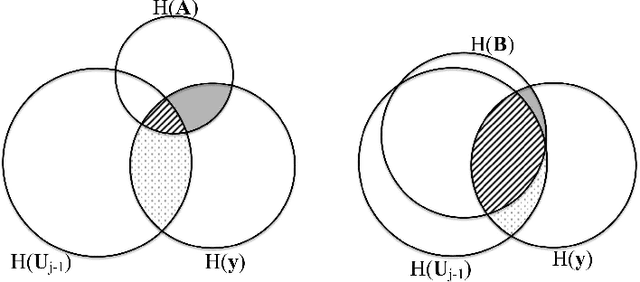 Figure 1 for A Cross-Entropy-based Method to Perform Information-based Feature Selection