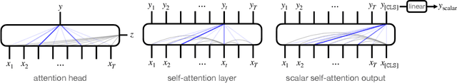 Figure 1 for Inductive Biases and Variable Creation in Self-Attention Mechanisms