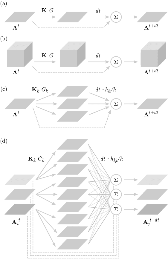 Figure 3 for Lenia and Expanded Universe