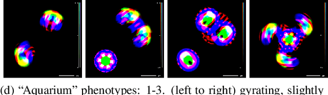Figure 4 for Lenia and Expanded Universe