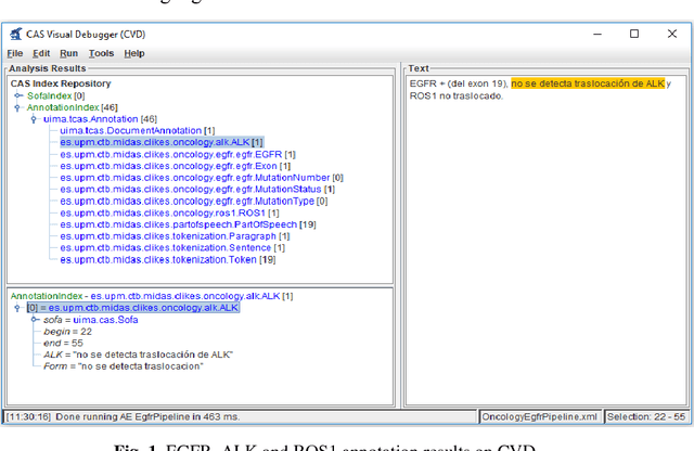 Figure 1 for Lung Cancer Concept Annotation from Spanish Clinical Narratives