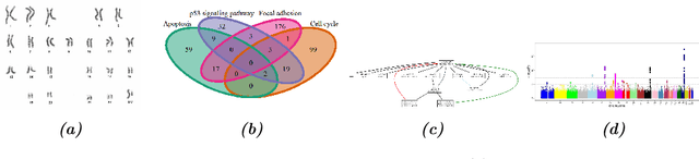 Figure 1 for Flexible co-data learning for high-dimensional prediction