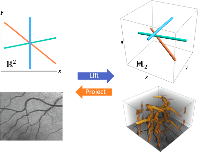 Figure 2 for PDE-based Group Equivariant Convolutional Neural Networks