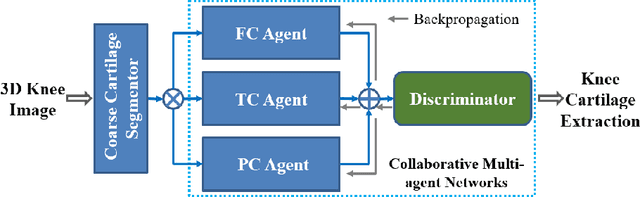 Figure 3 for Collaborative Multi-agent Learning for MR Knee Articular Cartilage Segmentation