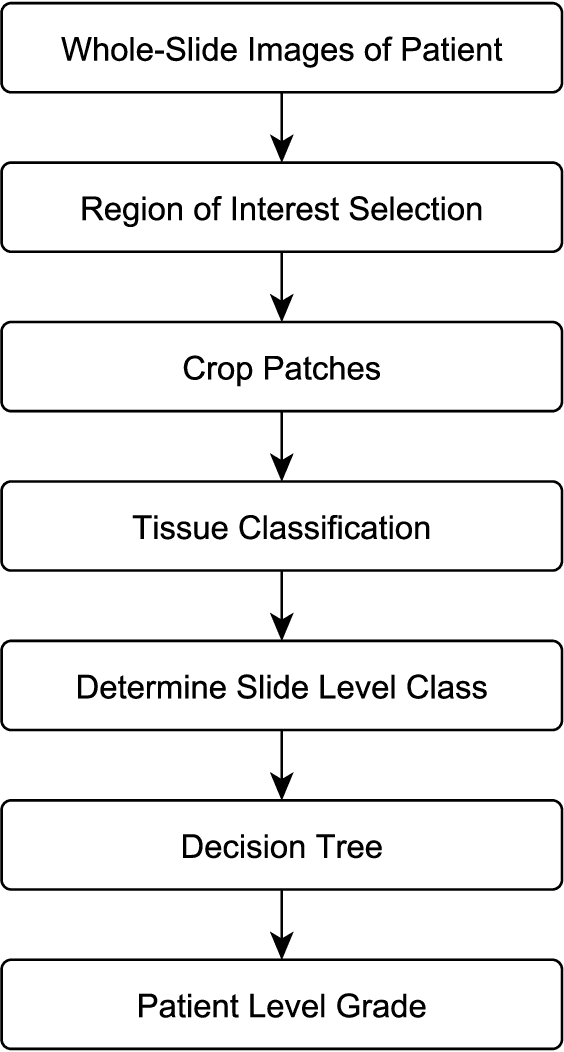 Figure 1 for Automatic breast cancer grading in lymph nodes using a deep neural network