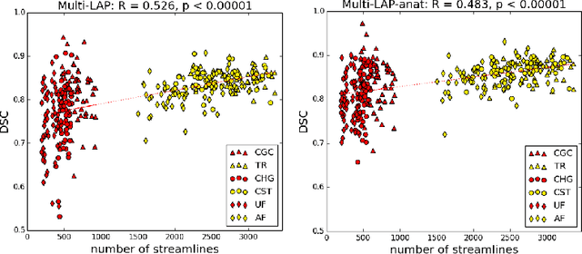 Figure 1 for Anatomically-Informed Multiple Linear Assignment Problems for White Matter Bundle Segmentation