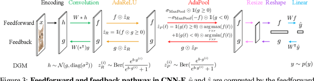 Figure 4 for Neural Networks with Recurrent Generative Feedback
