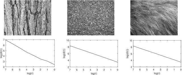 Figure 3 for VisGraphNet: a complex network interpretation of convolutional neural features
