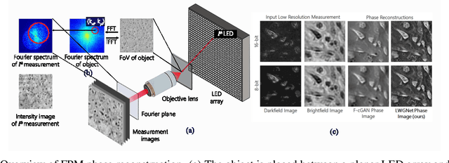 Figure 1 for LWGNet: Learned Wirtinger Gradients for Fourier Ptychographic Phase Retrieval