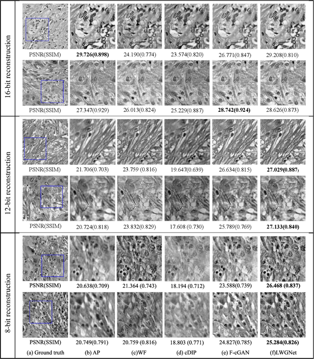 Figure 4 for LWGNet: Learned Wirtinger Gradients for Fourier Ptychographic Phase Retrieval