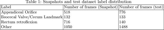 Figure 1 for Colonoscopy Landmark Detection using Vision Transformers