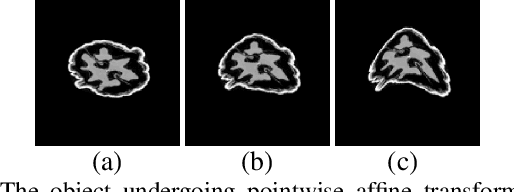 Figure 1 for Dynamic Tomography Reconstruction by Projection-Domain Separable Modeling