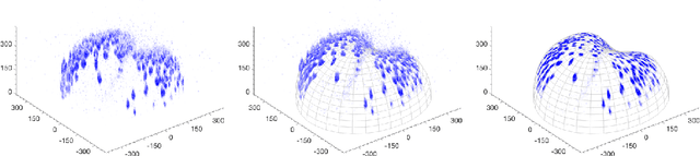 Figure 2 for A Numerical Framework for Efficient Motion Estimation on Evolving Sphere-Like Surfaces based on Brightness and Mass Conservation Laws