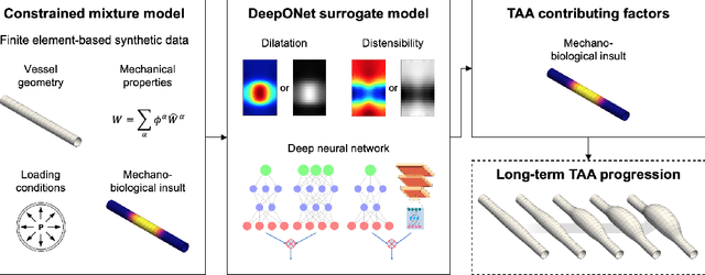 Figure 1 for Neural operator learning of heterogeneous mechanobiological insults contributing to aortic aneurysms