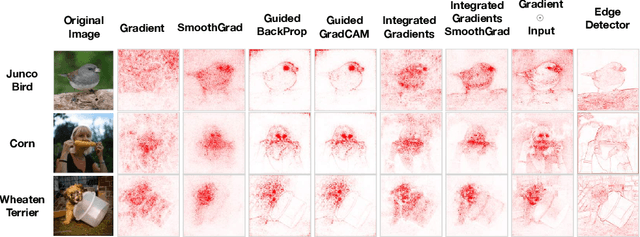 Figure 1 for Sanity Checks for Saliency Maps