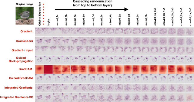 Figure 2 for Sanity Checks for Saliency Maps