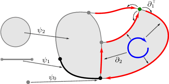 Figure 2 for Signal Processing on Cell Complexes
