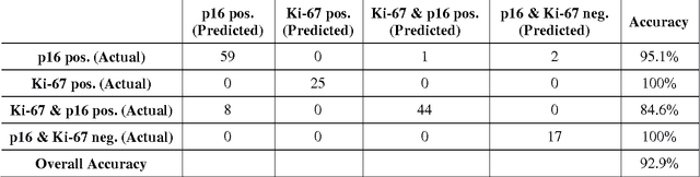 Figure 4 for Automatic labeling of molecular biomarkers of whole slide immunohistochemistry images using fully convolutional networks