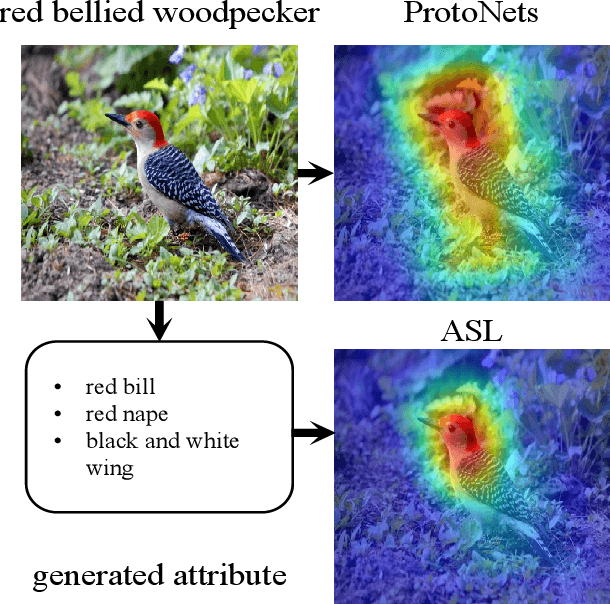 Figure 1 for Shaping Visual Representations with Attributes for Few-Shot Learning