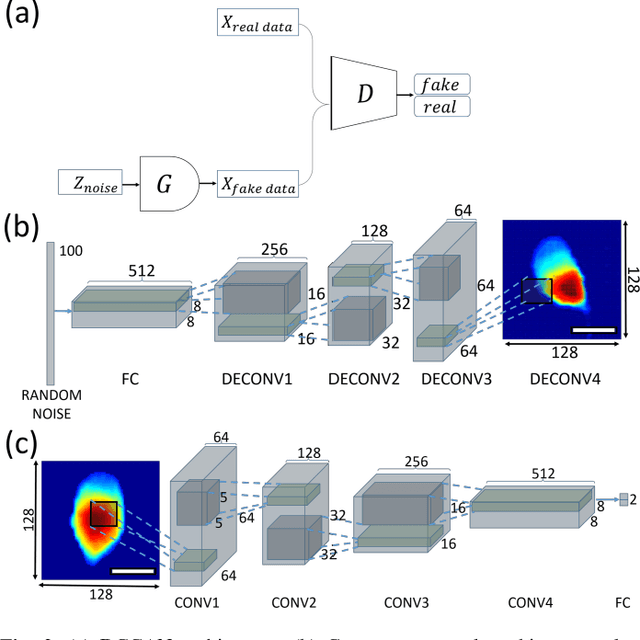 Figure 3 for TOP-GAN: Label-Free Cancer Cell Classification Using Deep Learning with a Small Training Set
