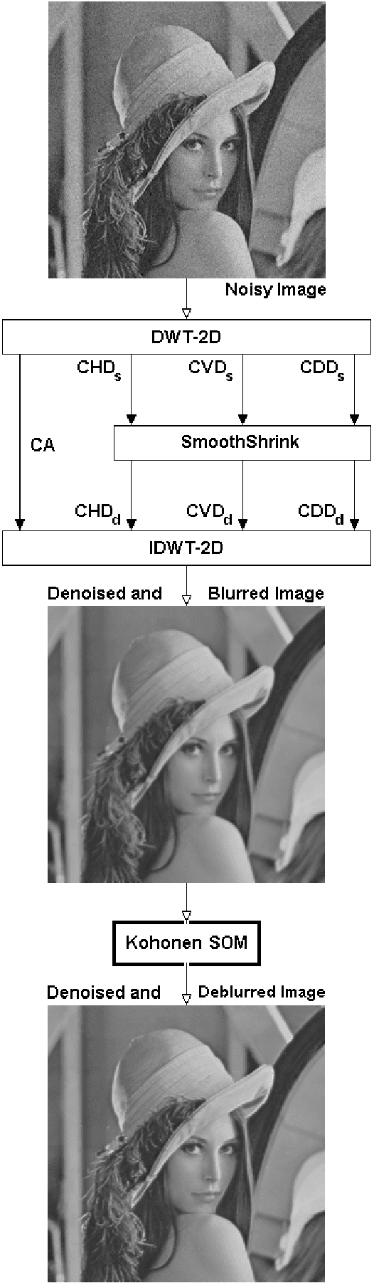 Figure 3 for Denoising based on wavelets and deblurring via self-organizing map for Synthetic Aperture Radar images