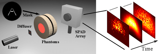 Figure 1 for Automatic Differentiation for All Photons Imaging to See Inside Volumetric Scattering Media