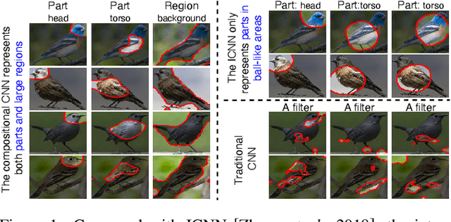 Figure 1 for Interpretable Compositional Convolutional Neural Networks