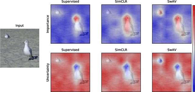 Figure 3 for RELAX: Representation Learning Explainability