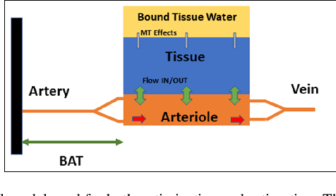 Figure 1 for Optimizing MRF-ASL Scan Design for Precise Quantification of Brain Hemodynamics using Neural Network Regression