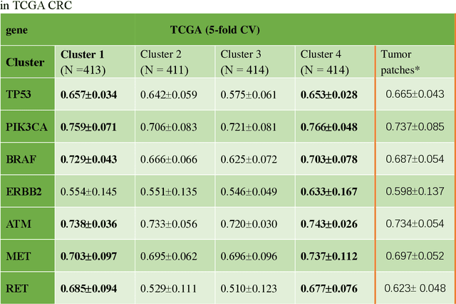 Figure 4 for Optimize Deep Learning Models for Prediction of Gene Mutations Using Unsupervised Clustering