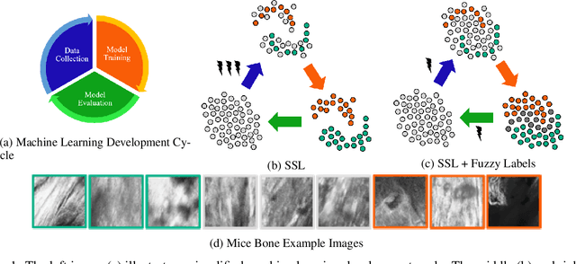 Figure 1 for Life is not black and white -- Combining Semi-Supervised Learning with fuzzy labels