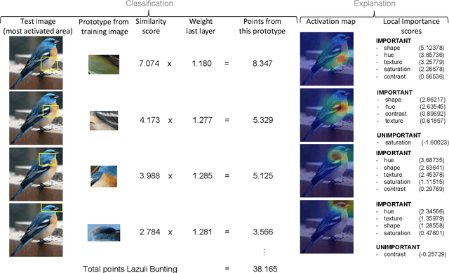 Figure 4 for This Looks Like That, Because ... Explaining Prototypes for Interpretable Image Recognition