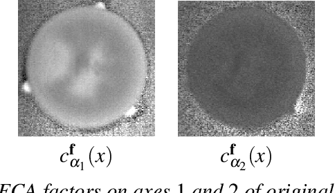 Figure 3 for Morphological segmentation of hyperspectral images