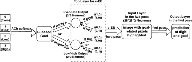 Figure 3 for Neuromodulated Goal-Driven Perception in Uncertain Domains