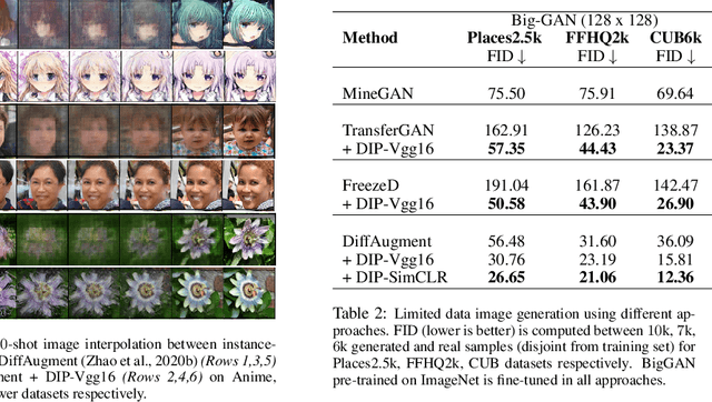 Figure 4 for Data Instance Prior for Transfer Learning in GANs
