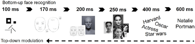 Figure 3 for Robot in the mirror: toward an embodied computational model of mirror self-recognition