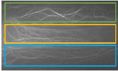 Figure 1 for Bayesian Topological Learning for Classifying the Structure of Biological Networks