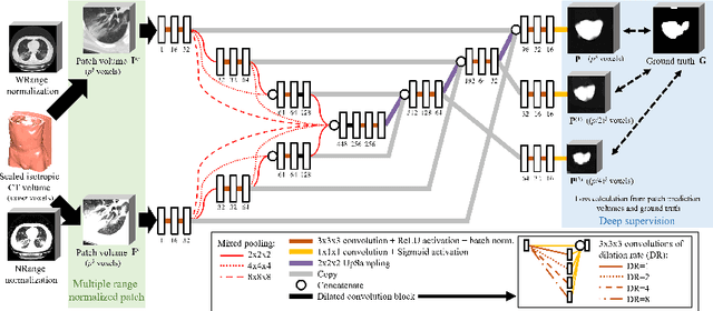 Figure 1 for COVID-19 Infection Segmentation from Chest CT Images Based on Scale Uncertainty