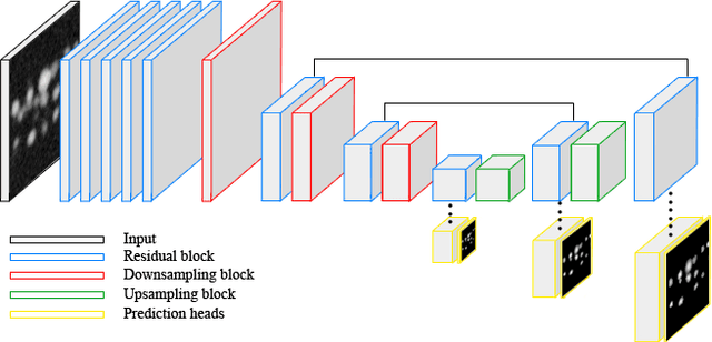 Figure 1 for Spherical Harmonics for Shape-Constrained 3D Cell Segmentation