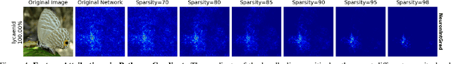 Figure 4 for Neural Response Interpretation through the Lens of Critical Pathways