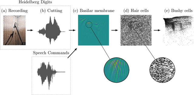 Figure 1 for The Heidelberg spiking datasets for the systematic evaluation of spiking neural networks